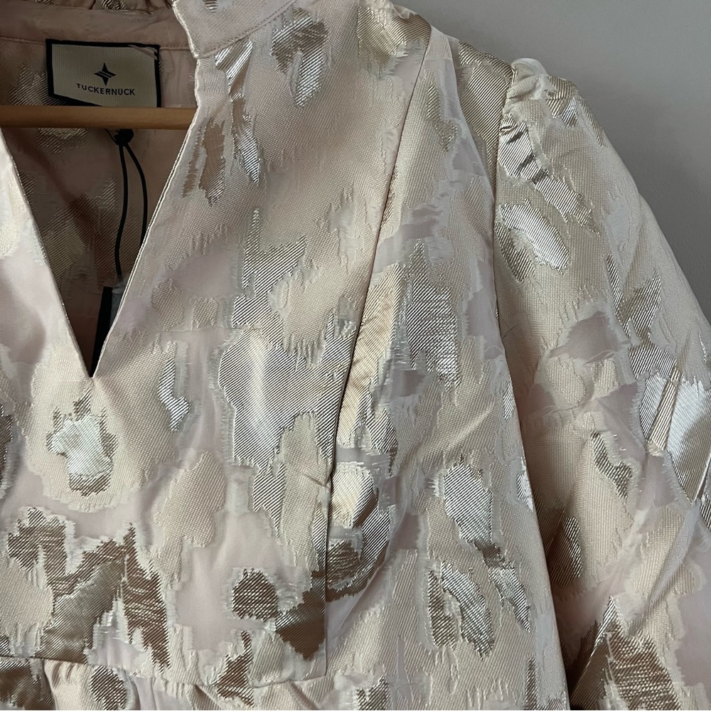 Tuckernuck palmerston mini dress size xxs champagne fil coupe cream beige - Picture 3 of 6
